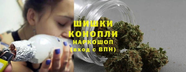 PSILOCYBIN Балабаново