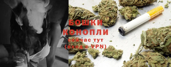 молекула духа Баксан