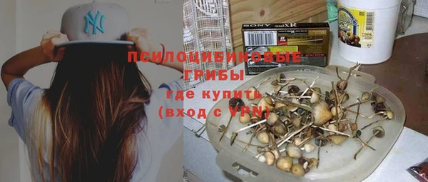 мет Арсеньев