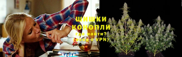 PSILOCYBIN Балабаново