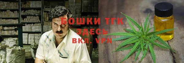 PSILOCYBIN Балабаново