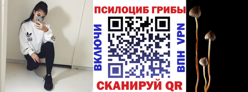Галлюциногенные грибы GOLDEN TEACHER  Олёкминск 