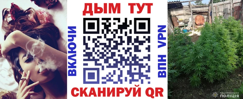 Шишки марихуана тримм Олёкминск